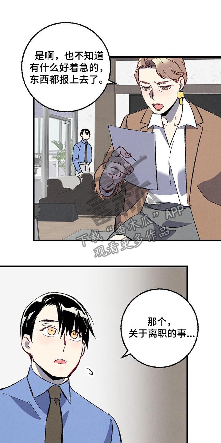 《完美伴侣》第145章【第二季】不会离职 第25页