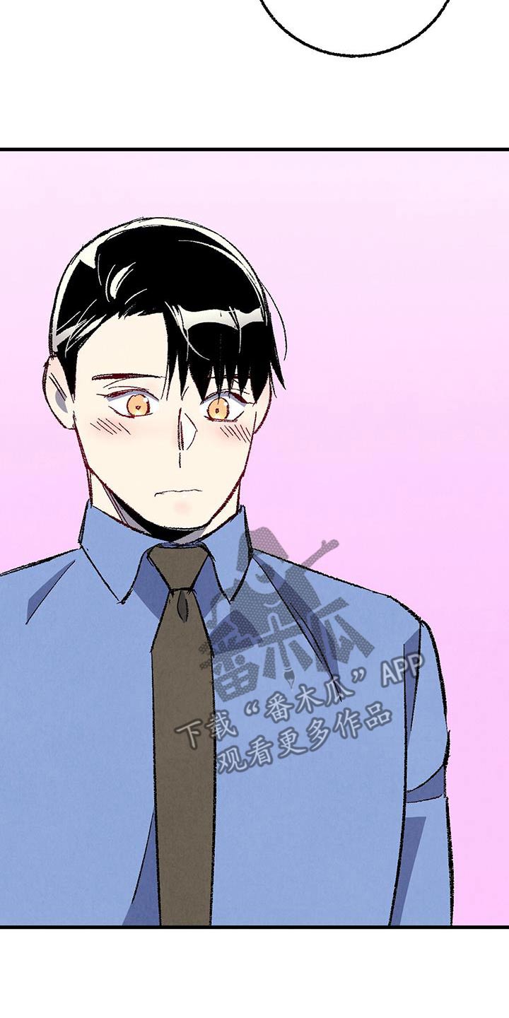 《完美伴侣》第145章【第二季】不会离职 第28页