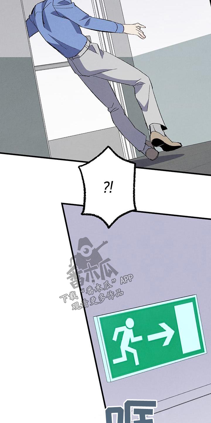 《完美伴侣》第144章【第二季】不会走 第2页
