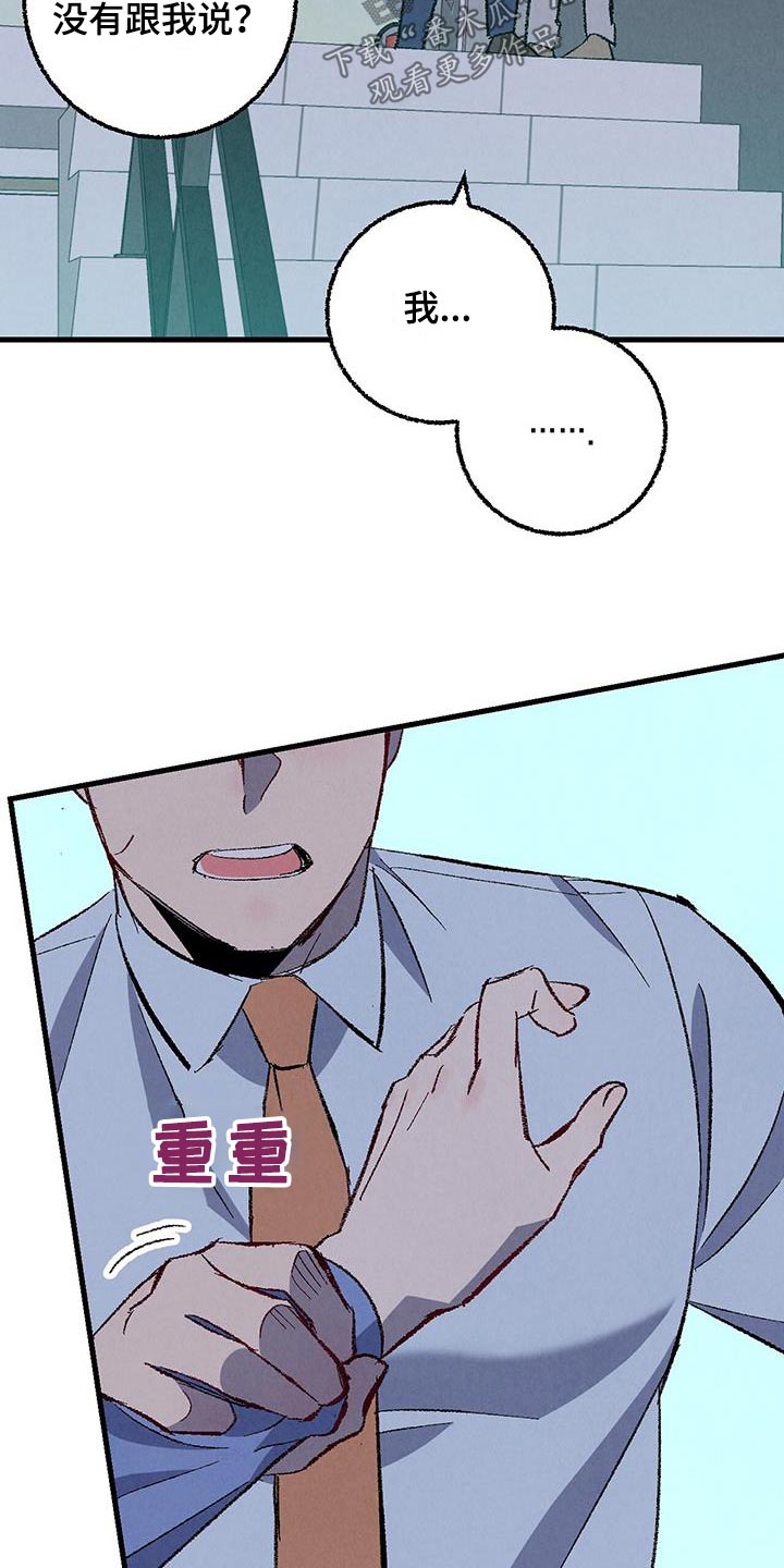 《完美伴侣》第144章【第二季】不会走 第5页