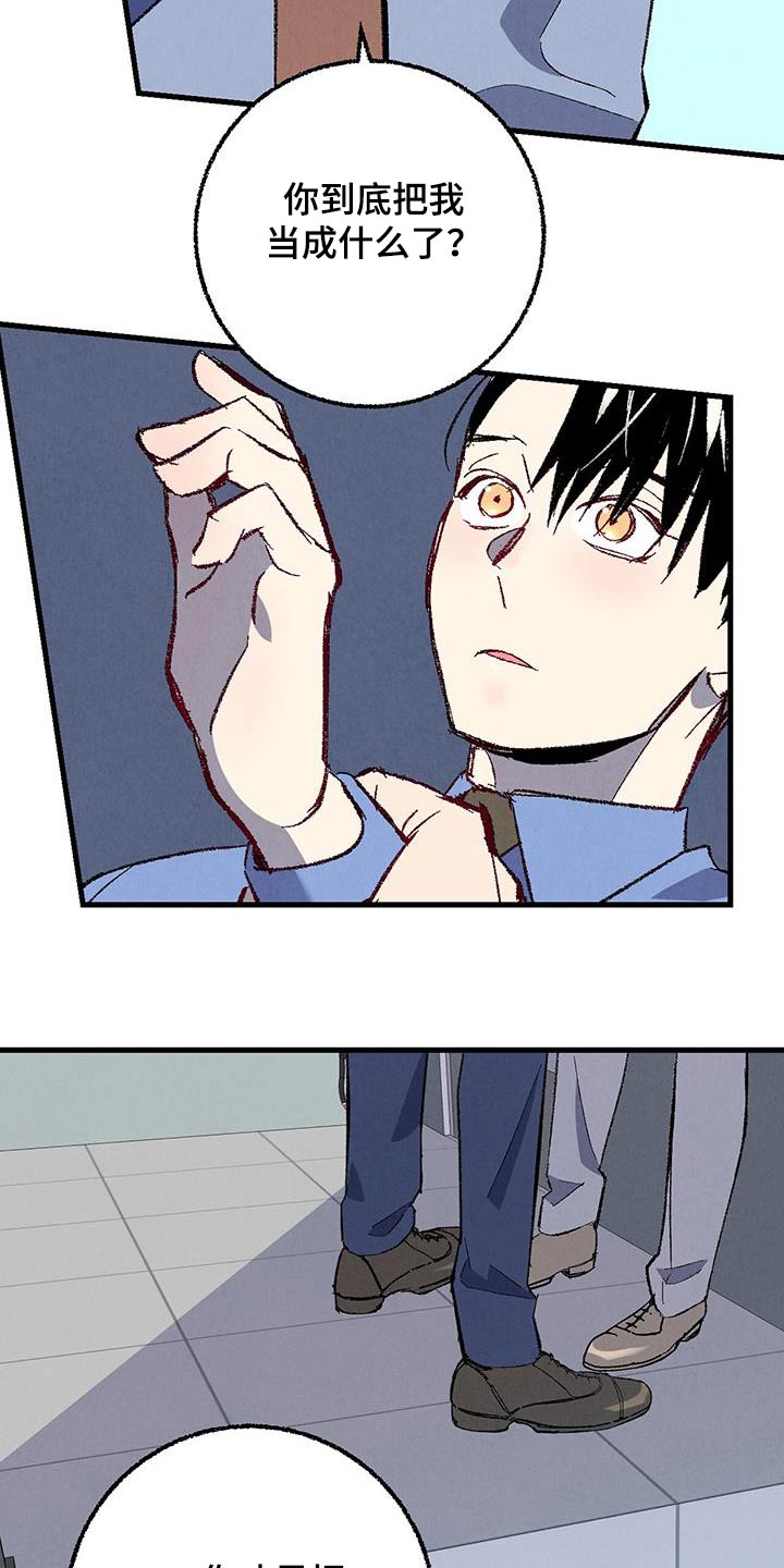 《完美伴侣》第144章【第二季】不会走 第6页