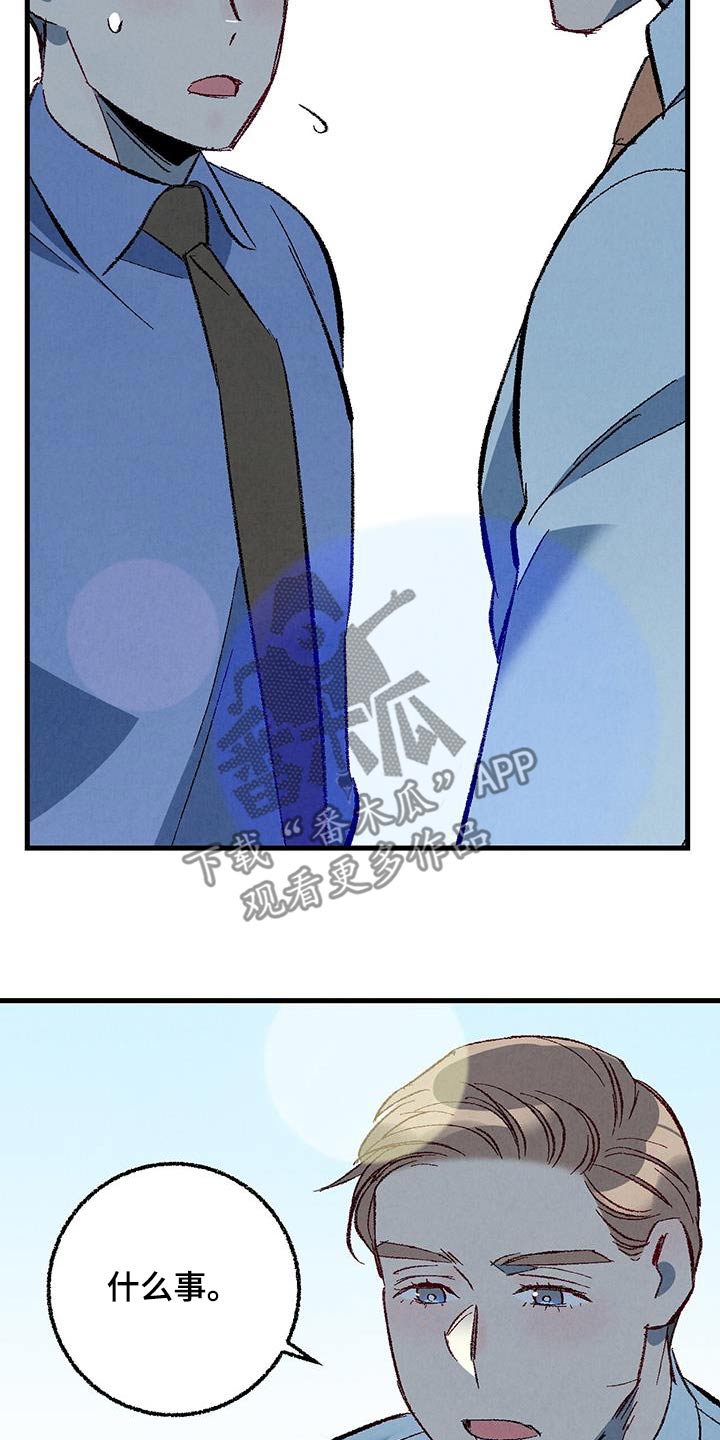 《完美伴侣》第146章【第二季】时装秀 第19页