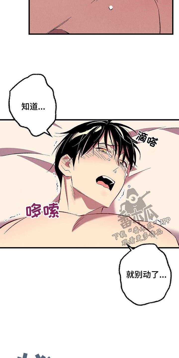 《完美伴侣》第147章【第二季】阻止 第22页