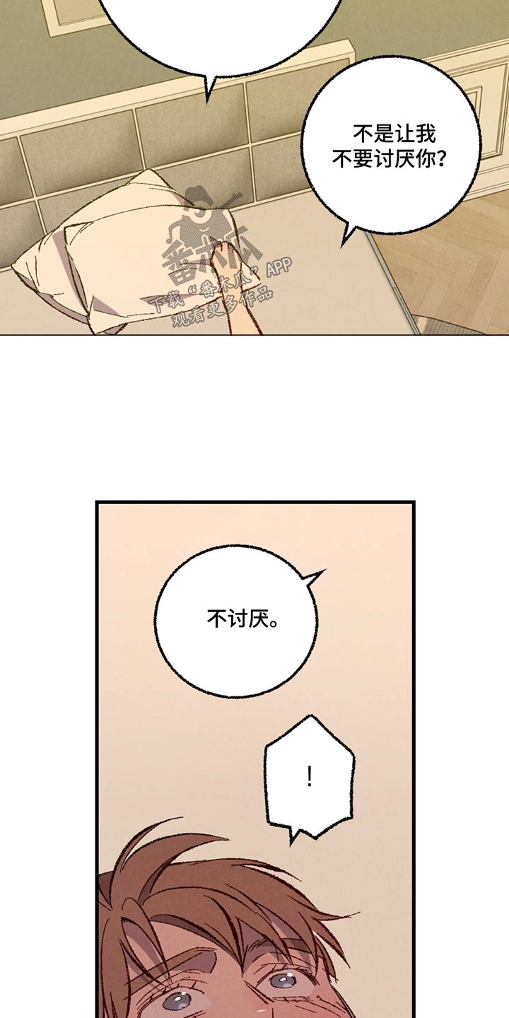 《完美伴侣》第150章【第二季】不讨厌 第14页