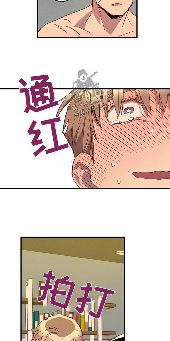 《完美伴侣》第150章【第二季】不讨厌 第4页