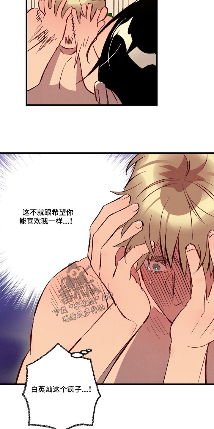 《完美伴侣》第150章【第二季】不讨厌 第5页