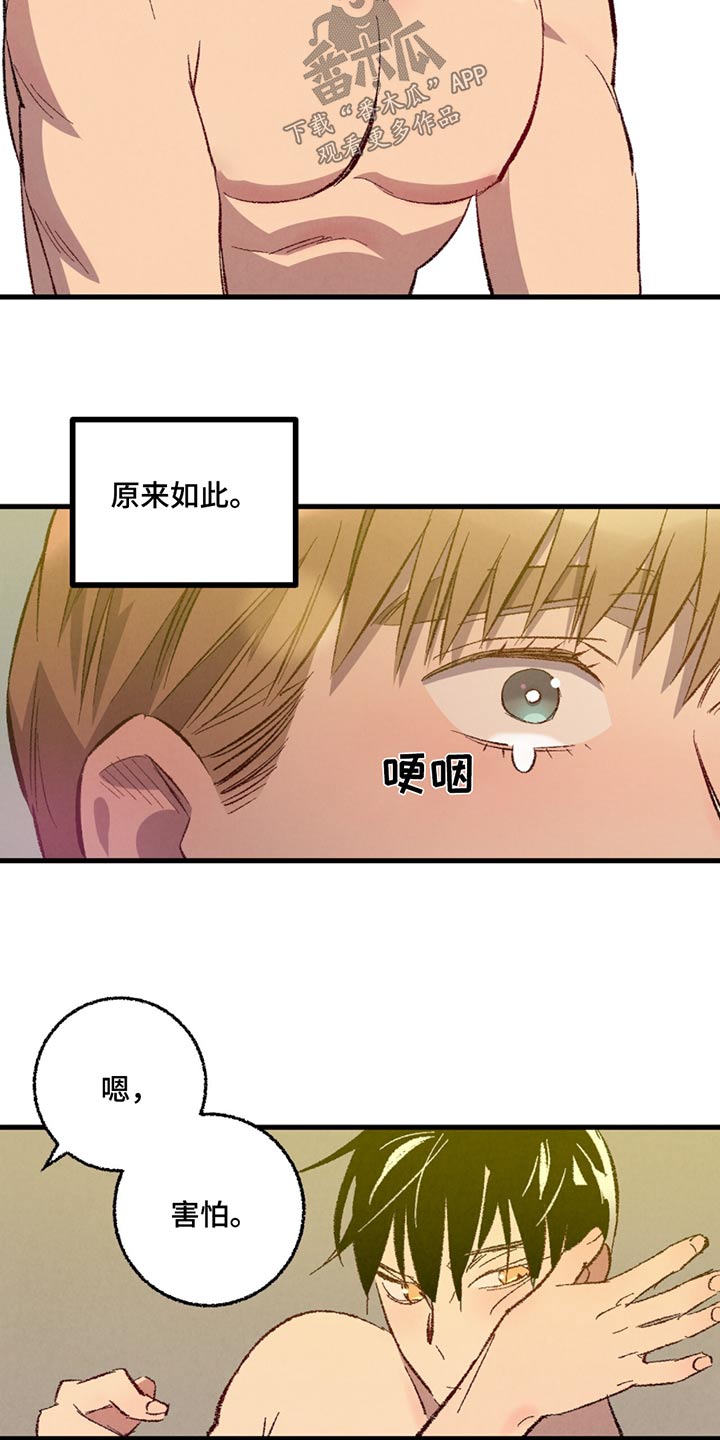 《完美伴侣》第150章【第二季】不讨厌 第9页