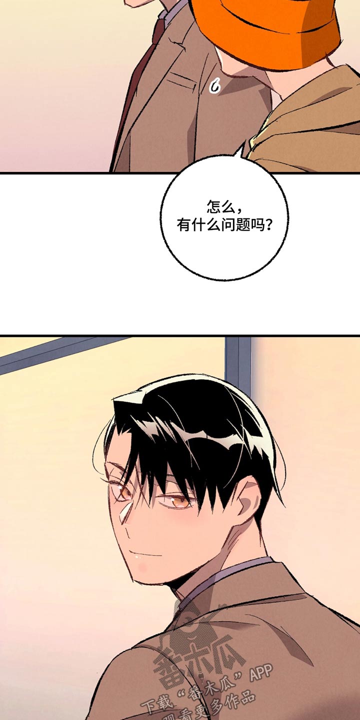 《完美伴侣》第154章【第二季】随便选 第13页