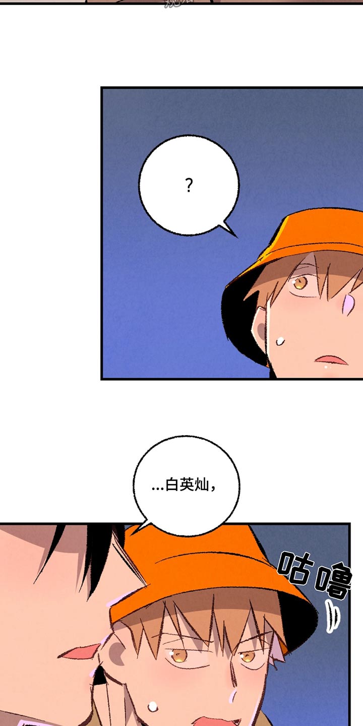《完美伴侣》第154章【第二季】随便选 第14页