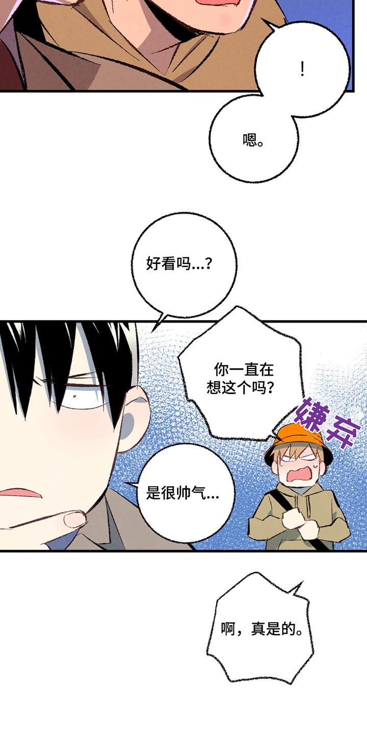 《完美伴侣》第154章【第二季】随便选 第15页