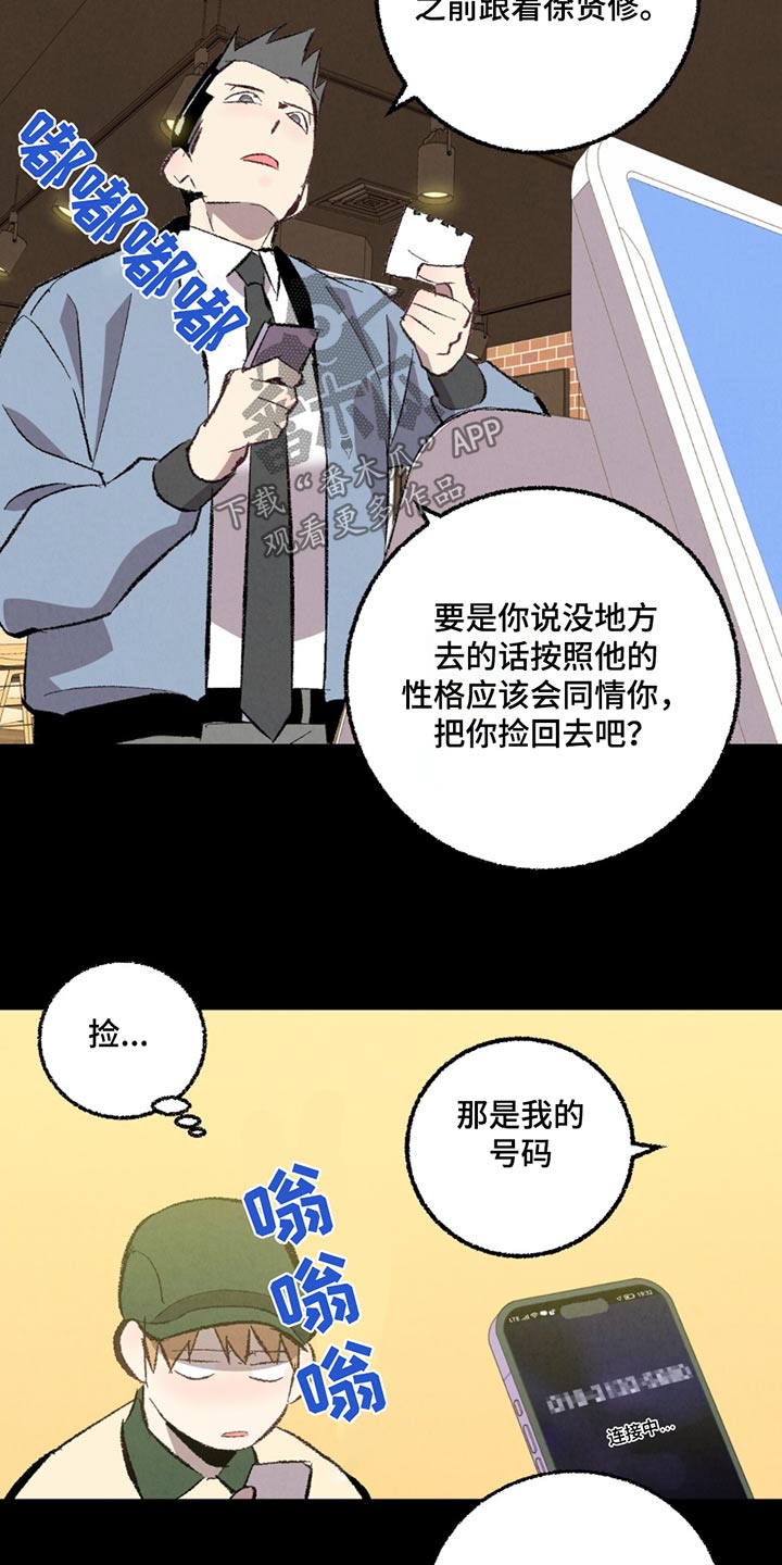 《完美伴侣》第154章【第二季】随便选 第3页