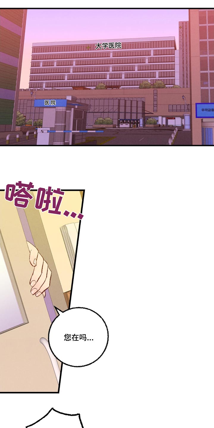 《完美伴侣》第155章【第二季】不在 第19页