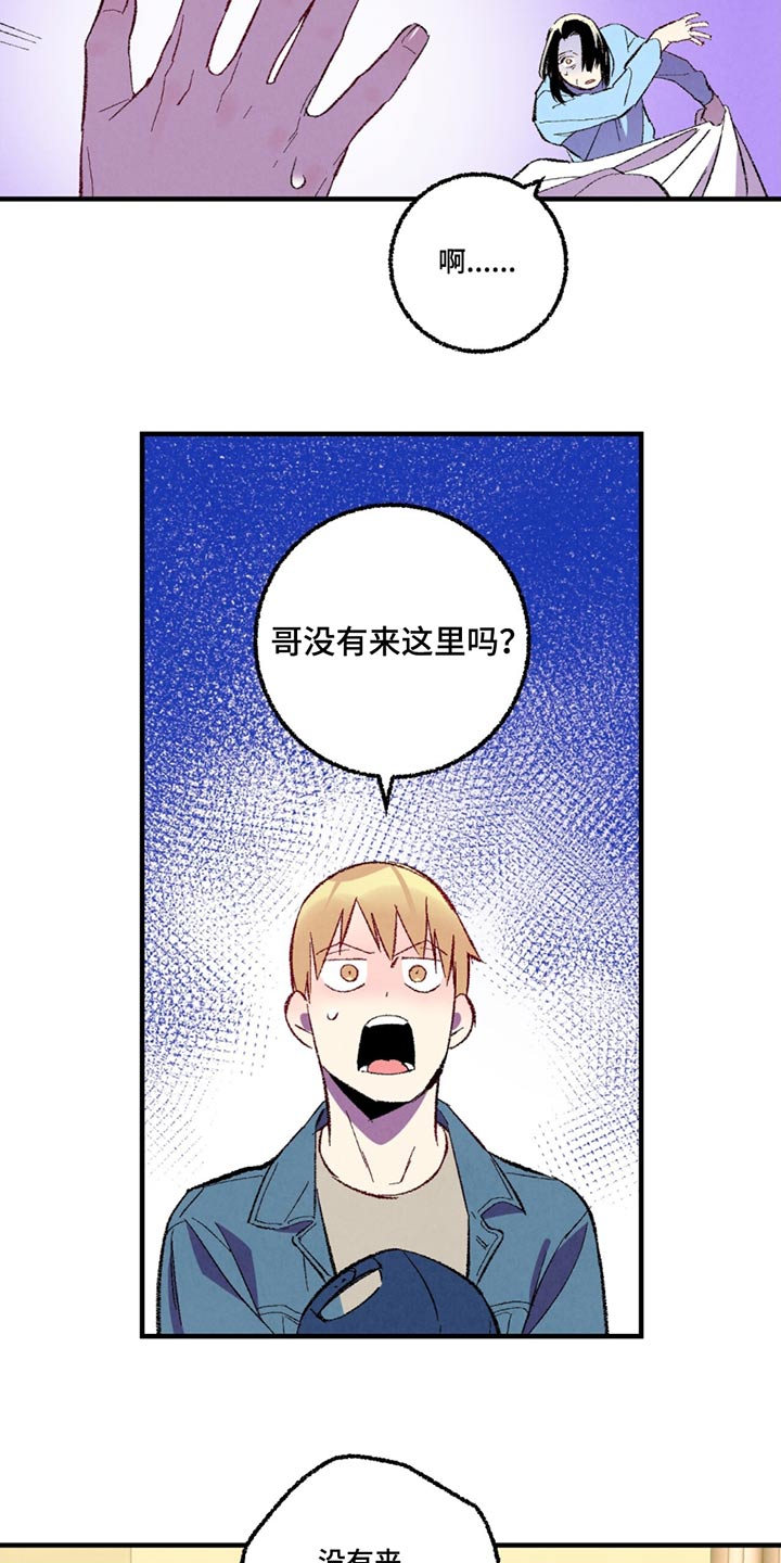 《完美伴侣》第155章【第二季】不在 第21页