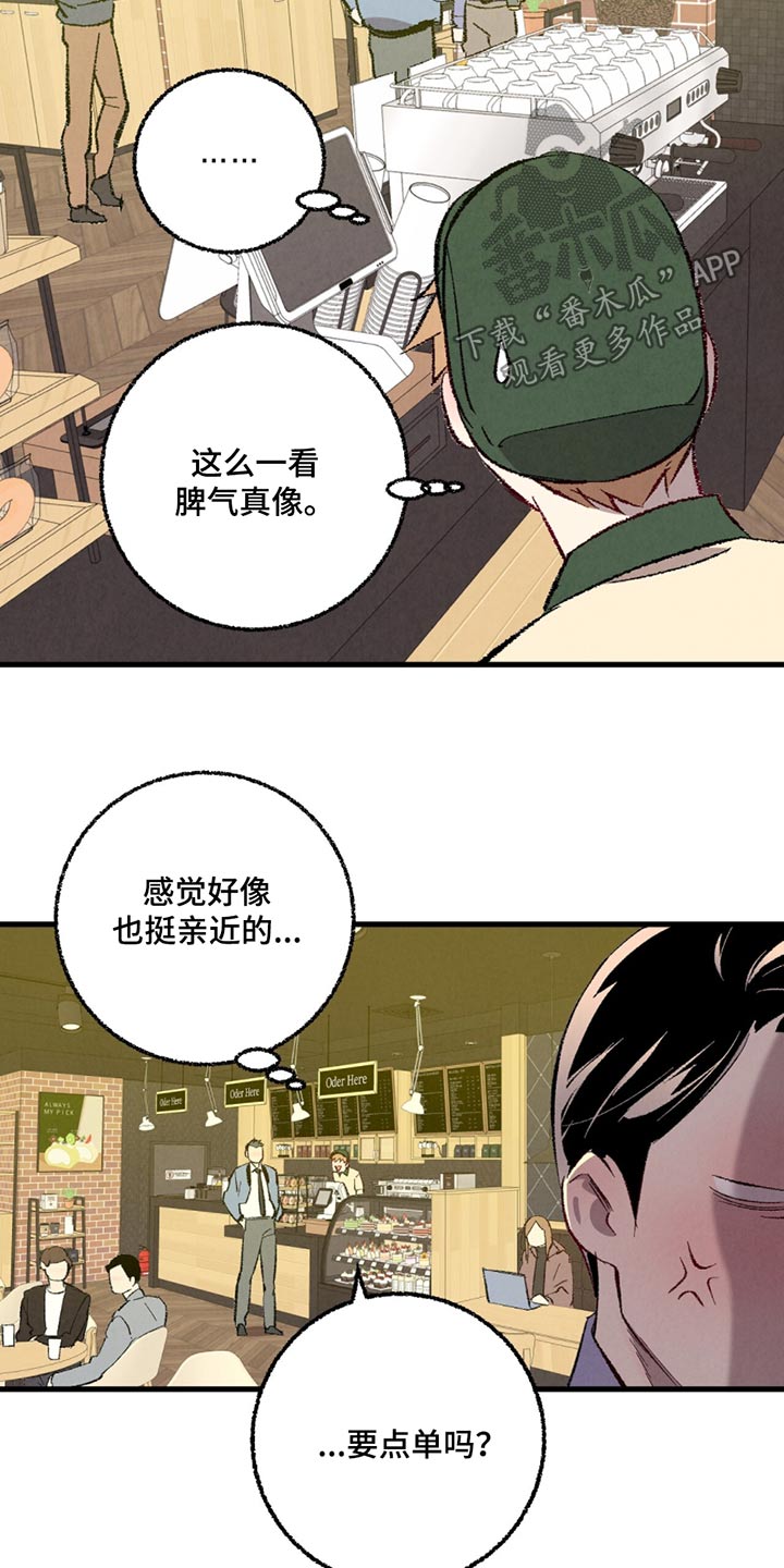 《完美伴侣》第152章【第二季】漫长 第14页