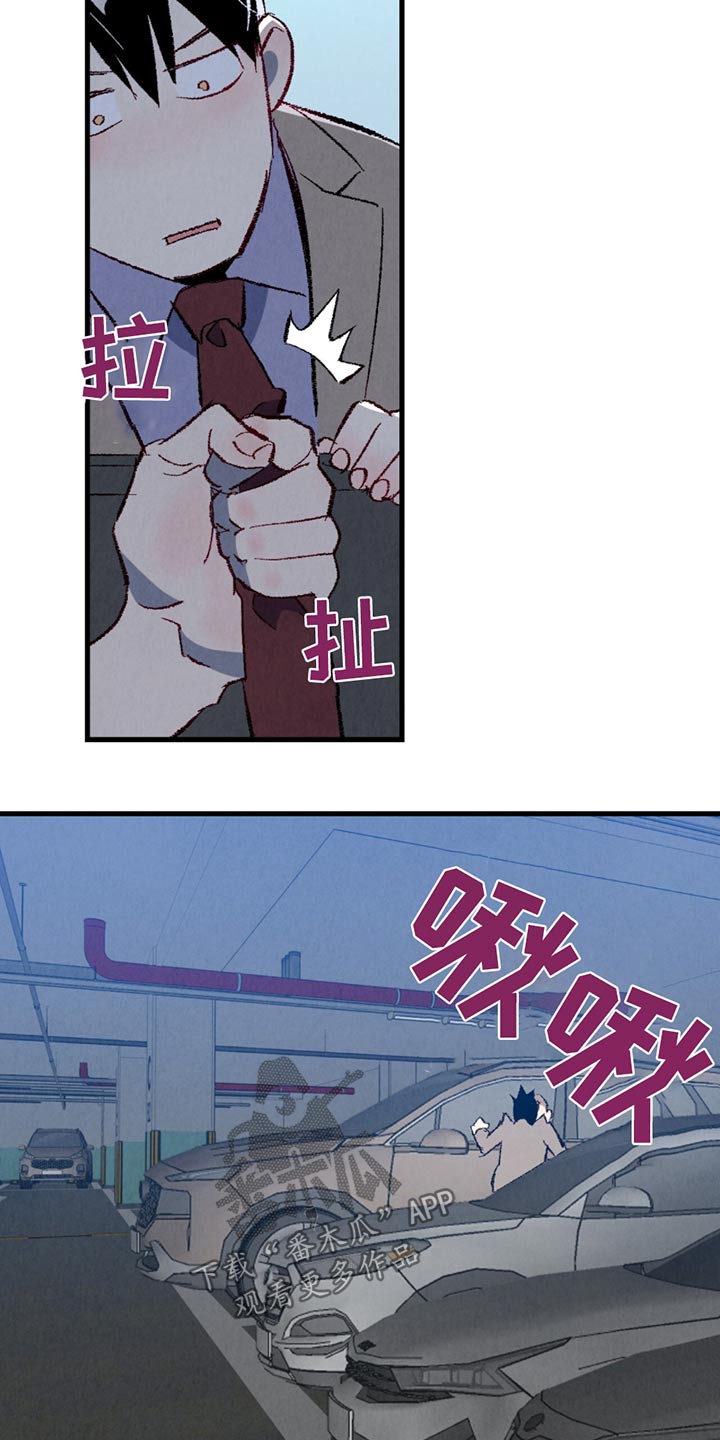 《完美伴侣》第151章【第二季】一起吃饭 第19页