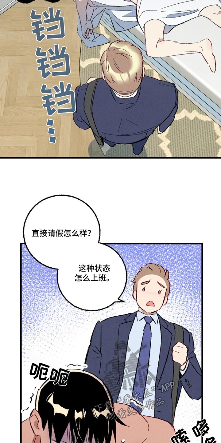 《完美伴侣》第151章【第二季】一起吃饭 第3页