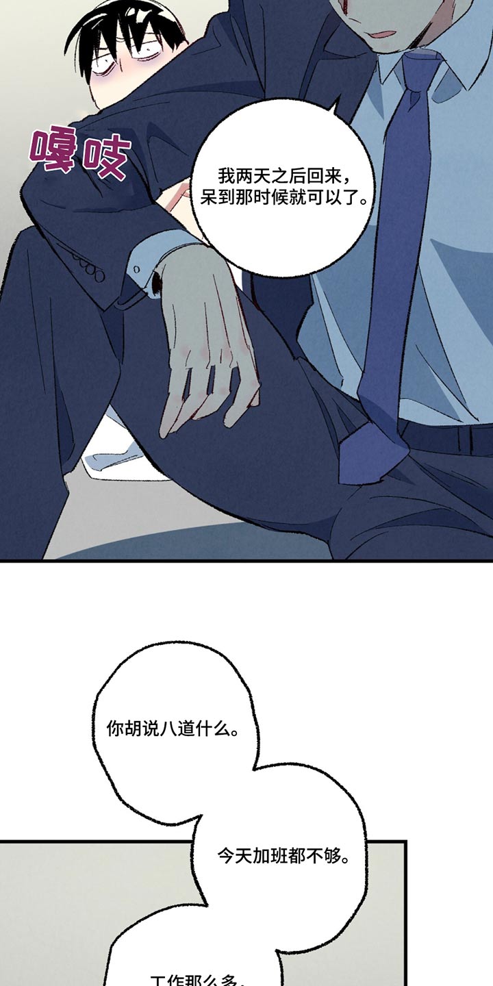 《完美伴侣》第151章【第二季】一起吃饭 第5页