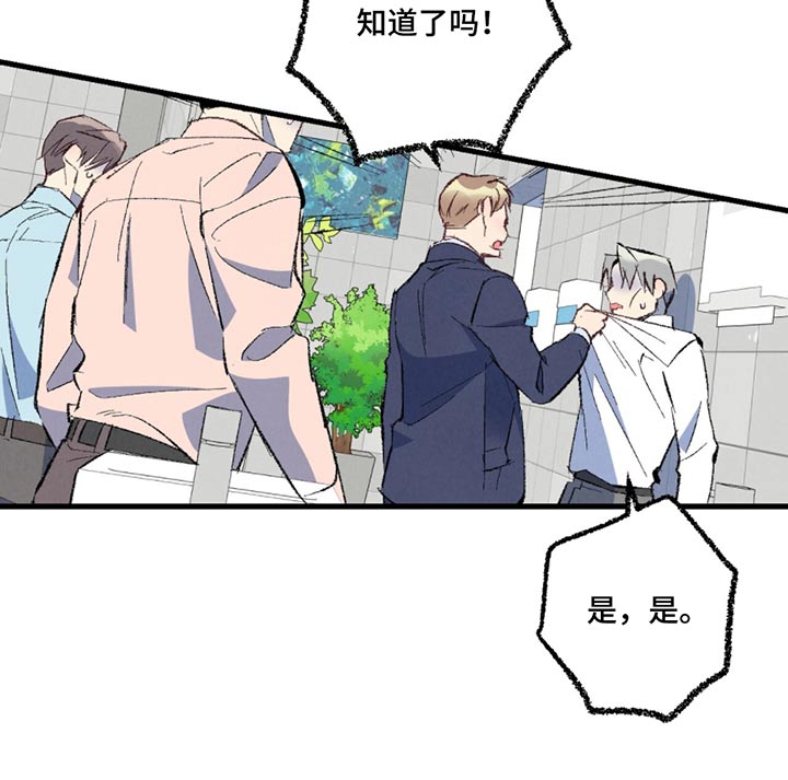 《完美伴侣》第153章【第二季】传闻 第13页