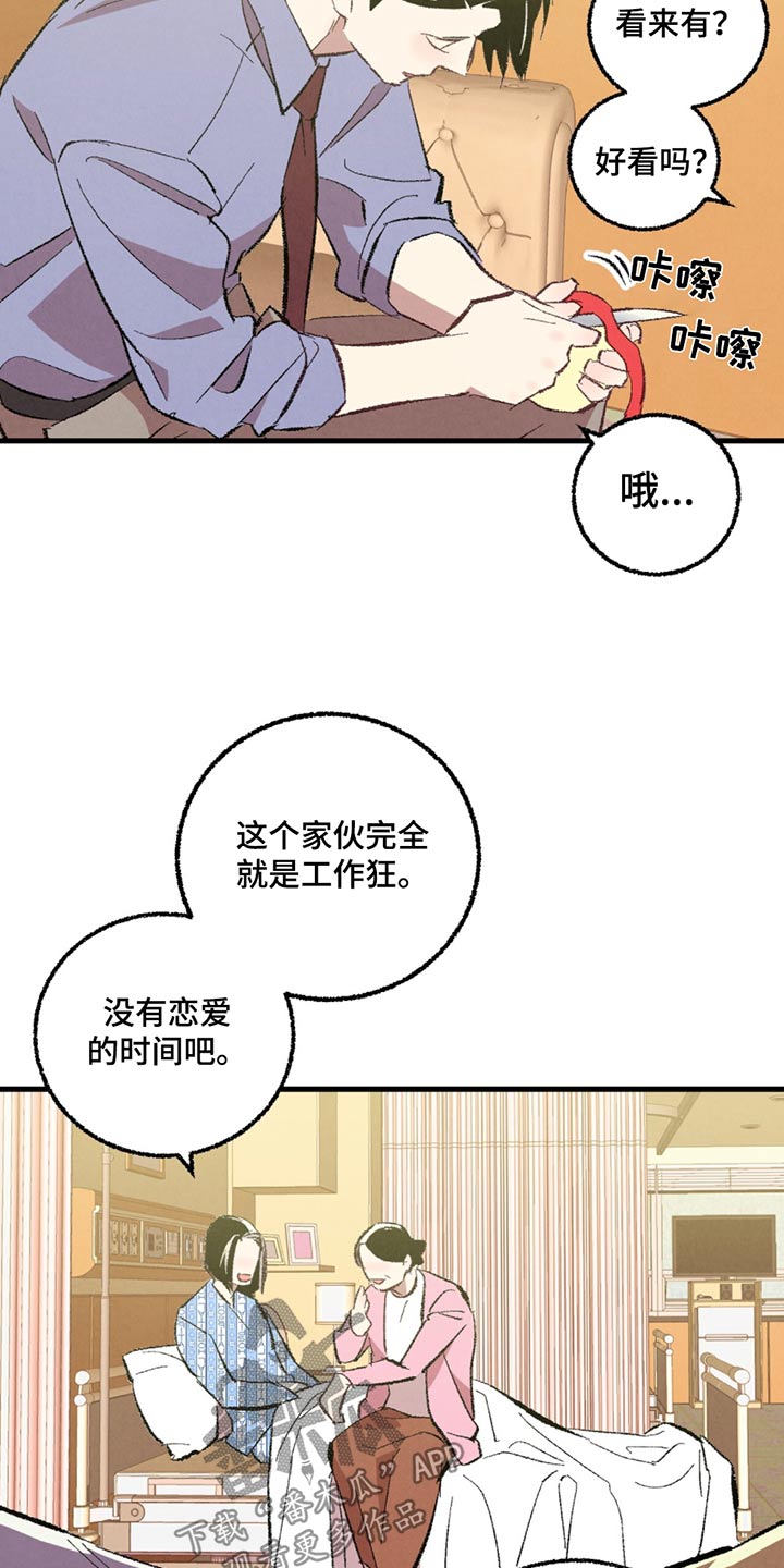 《完美伴侣》第153章【第二季】传闻 第20页