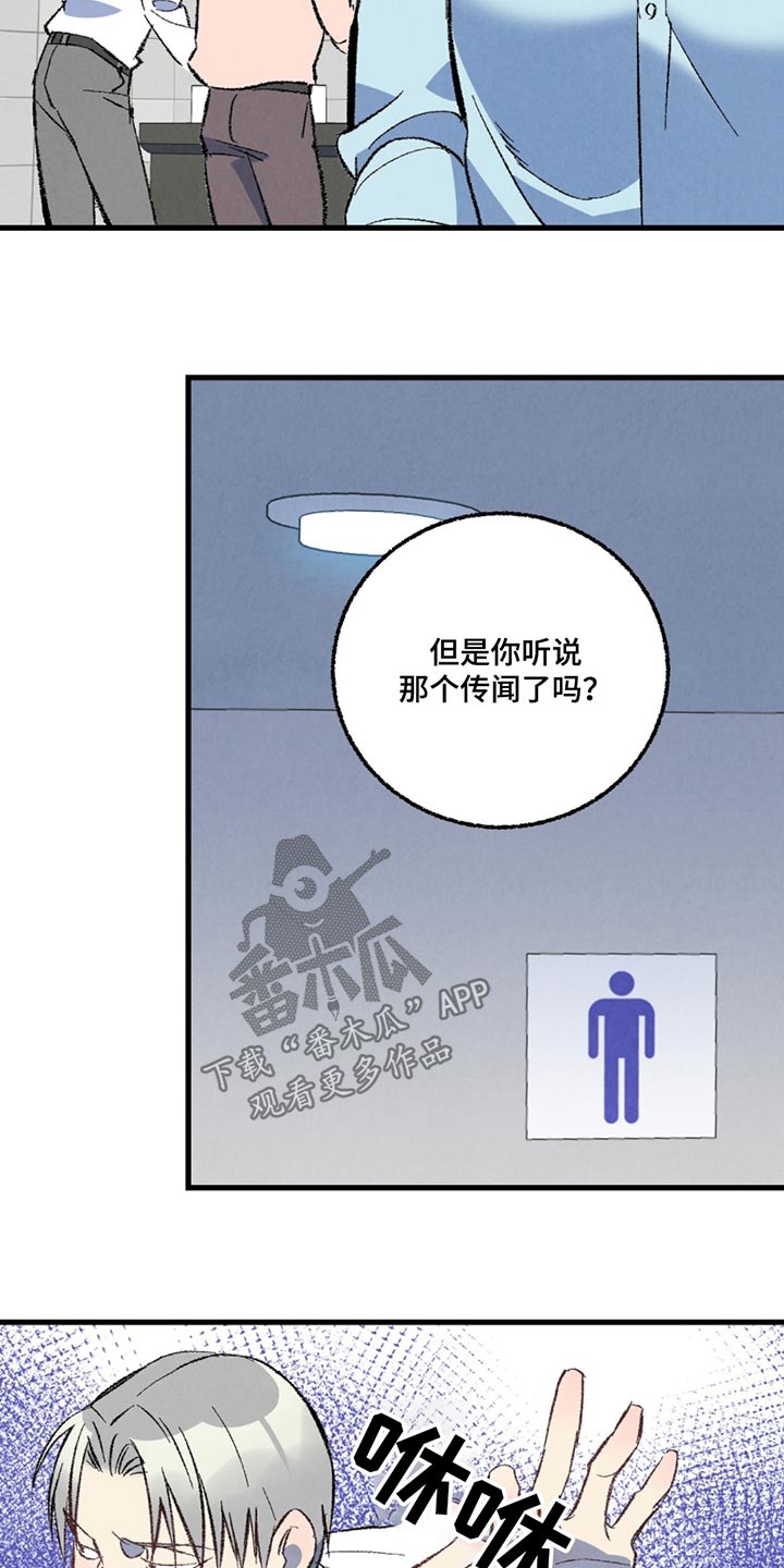 《完美伴侣》第153章【第二季】传闻 第3页