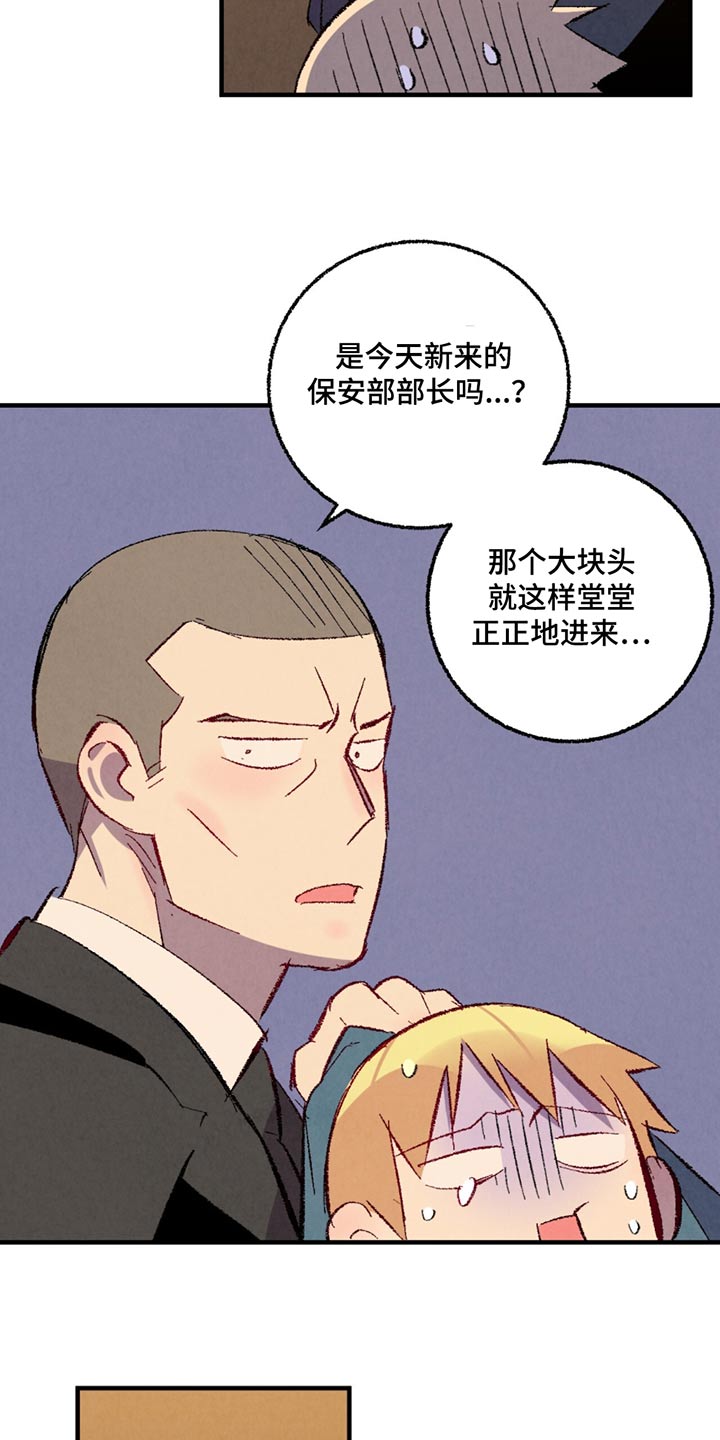 《完美伴侣》第158章【第二季】悄悄 第13页