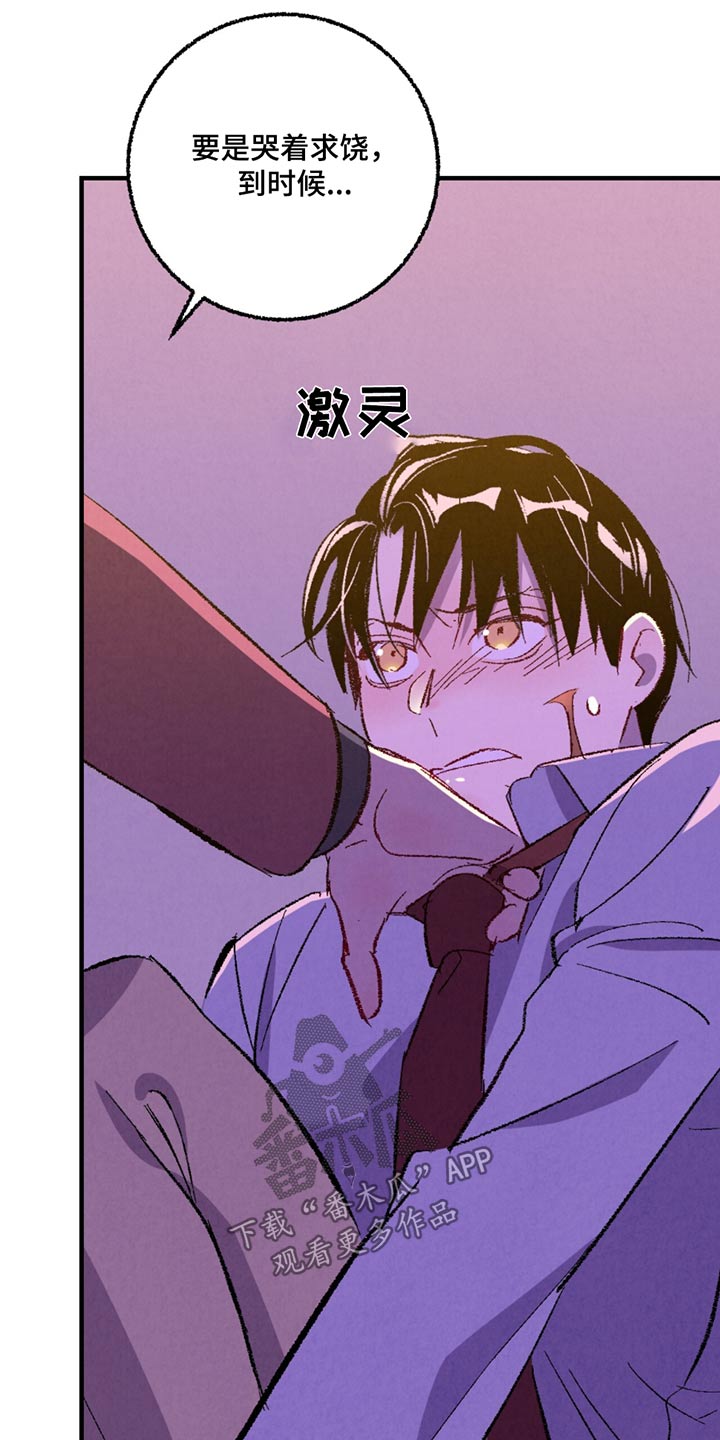 《完美伴侣》第159章【第二季】殴打 第14页