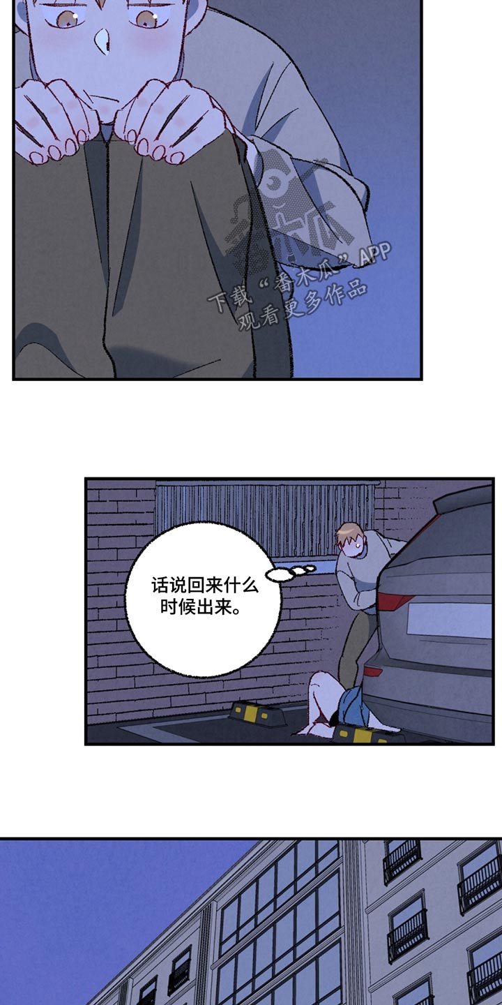 《完美伴侣》第159章【第二季】殴打 第4页