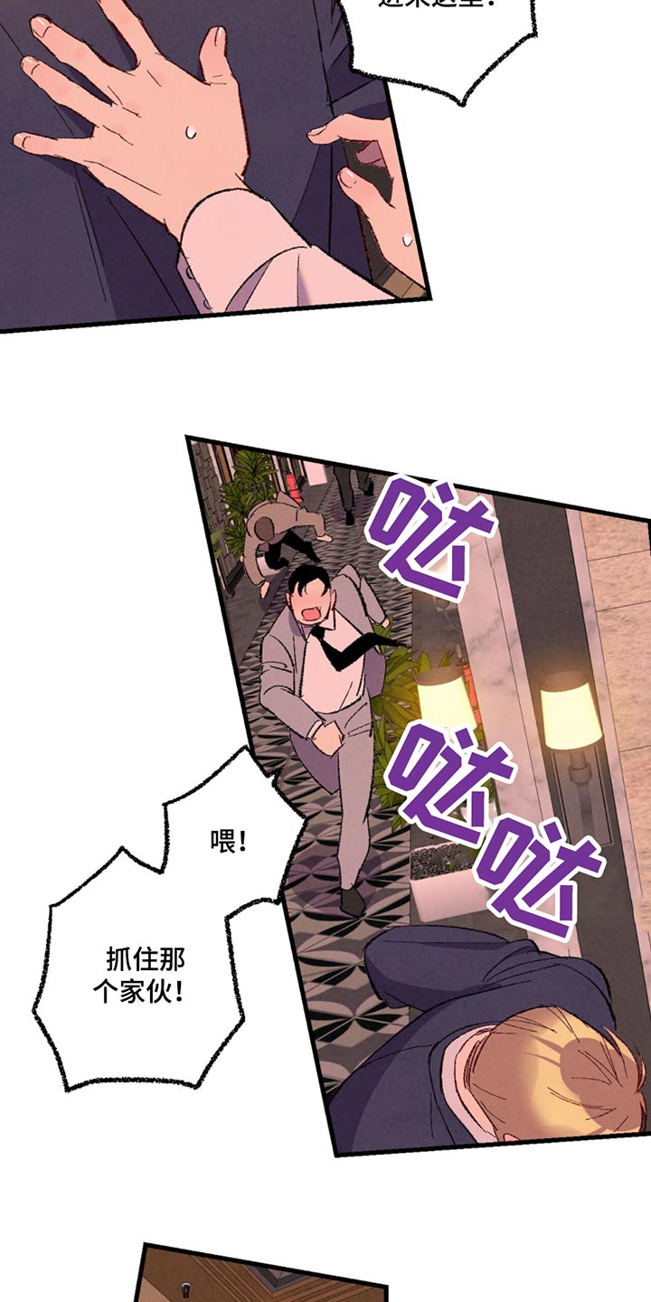 《完美伴侣》第157章【第二季】那个家伙 第20页