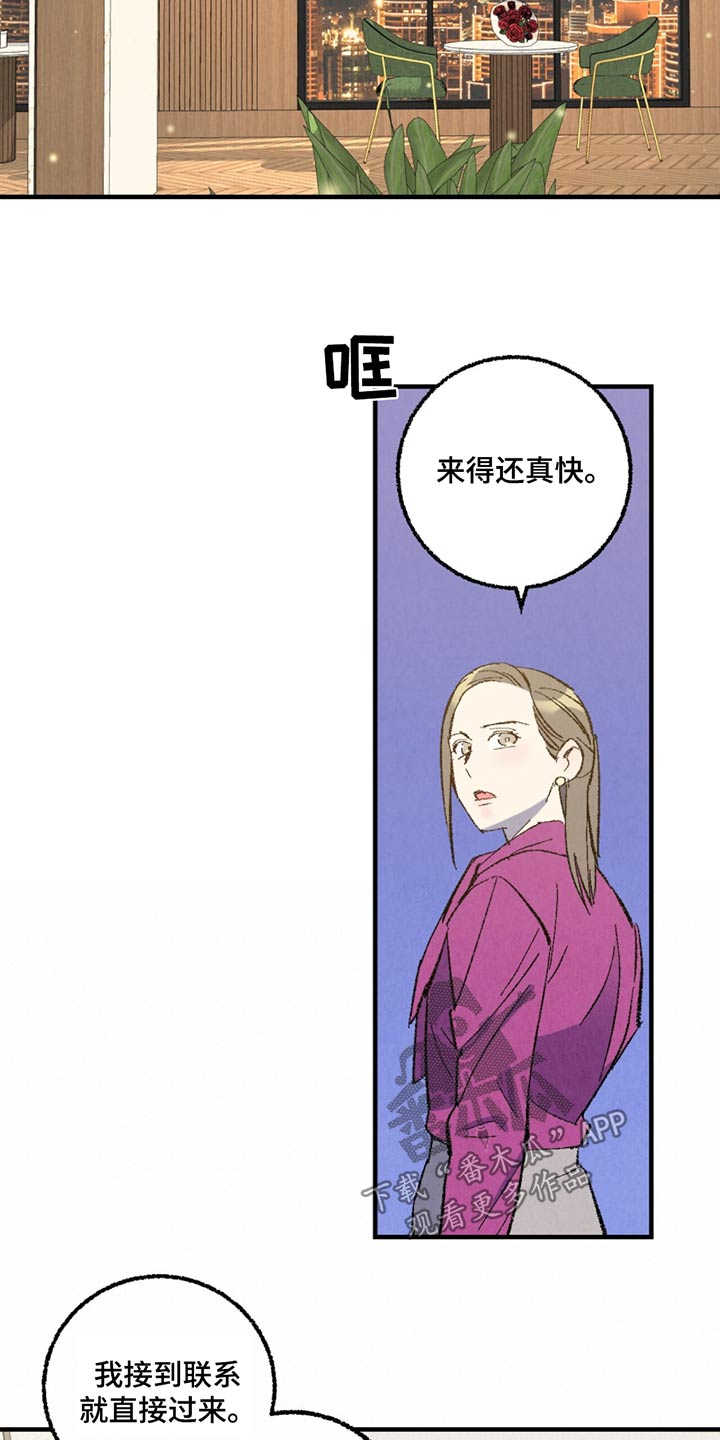 《完美伴侣》第157章【第二季】那个家伙 第8页