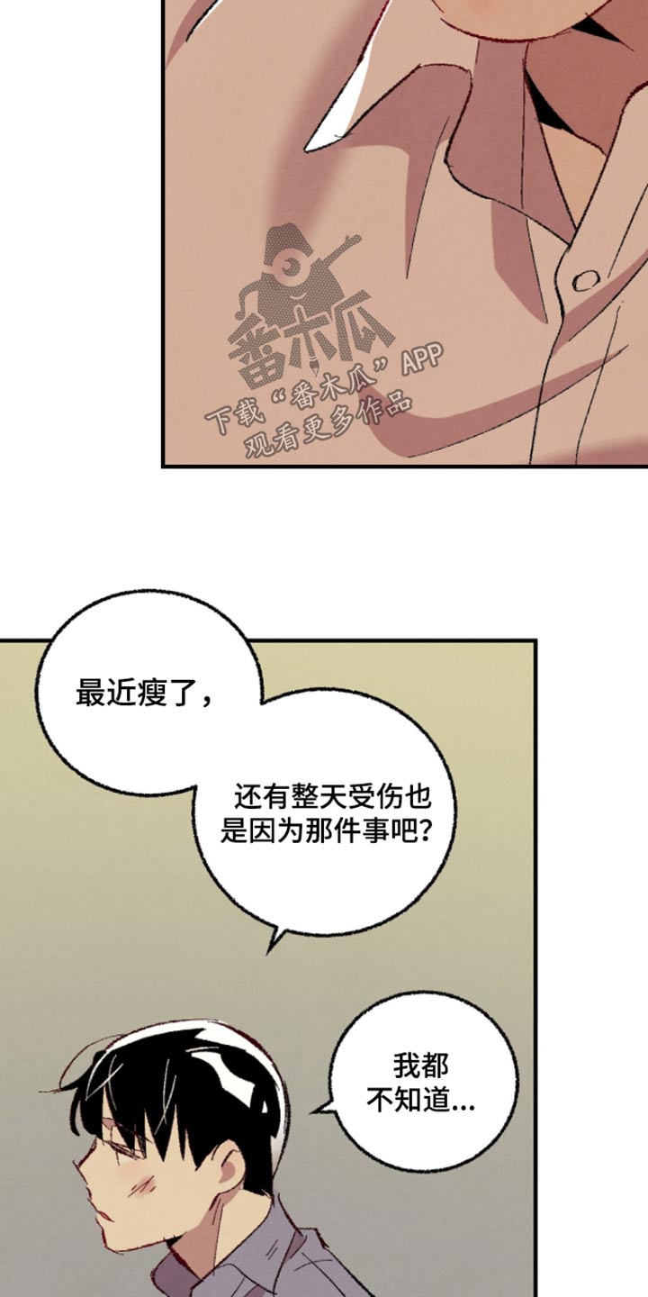 《完美伴侣》第163章【第二季】确信 第22页