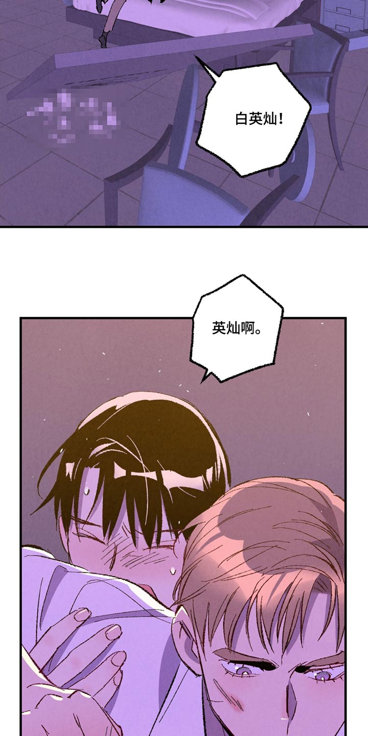 《完美伴侣》第162章【第二季】能怎么办 第12页