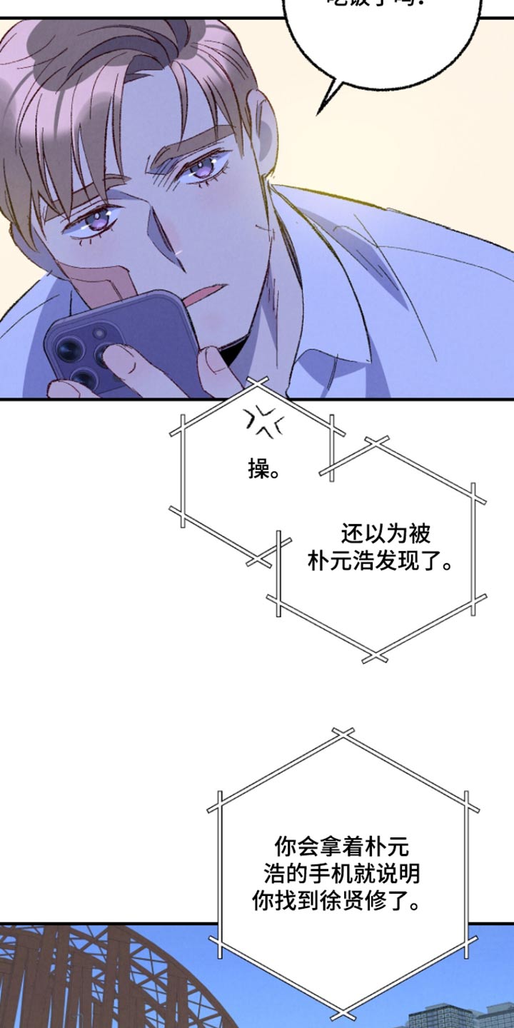《完美伴侣》第164章【第二季】冷静一点 第13页