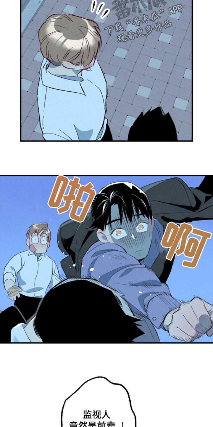 《完美伴侣》第164章【第二季】冷静一点 第22页
