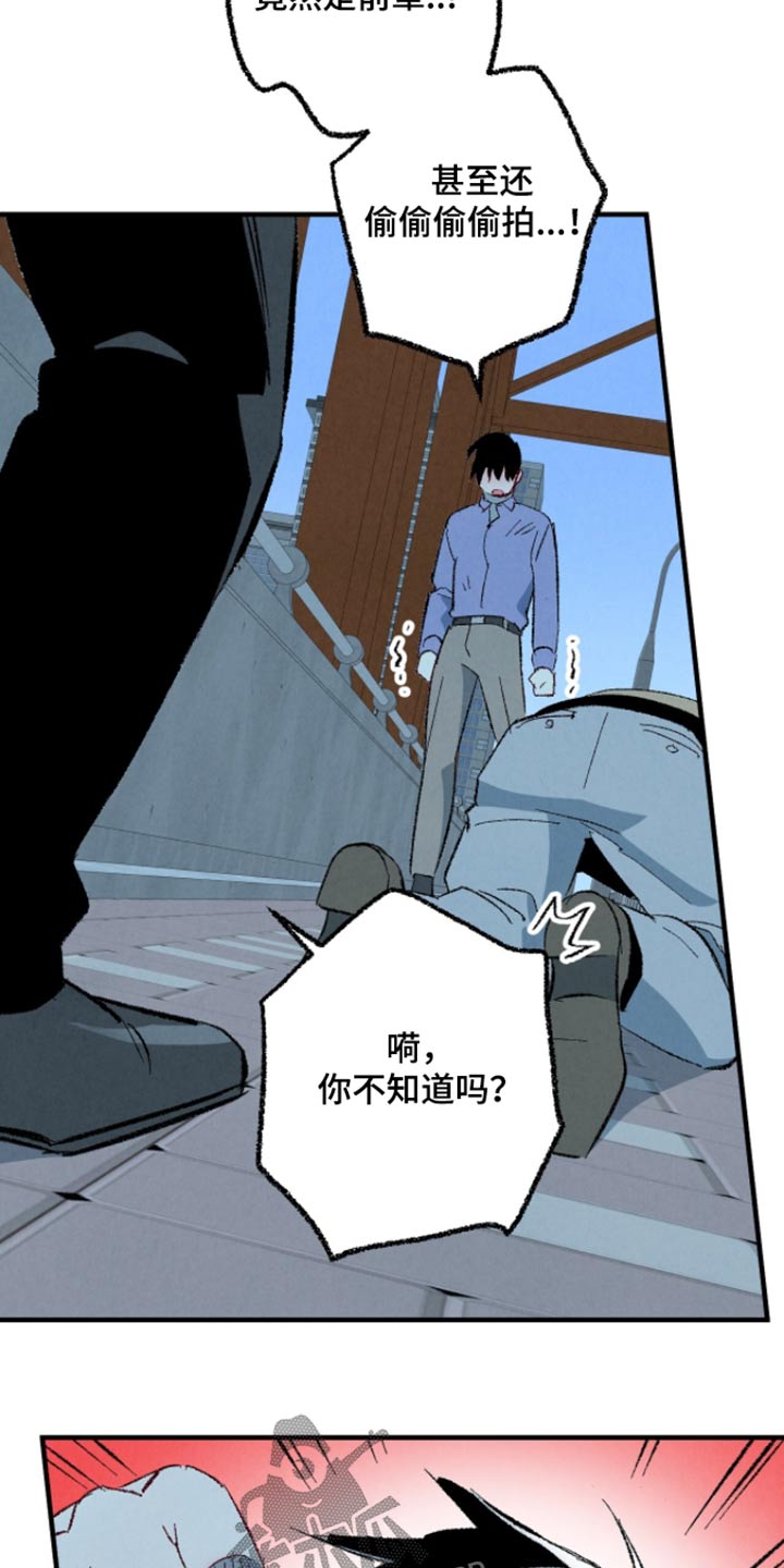 《完美伴侣》第164章【第二季】冷静一点 第23页