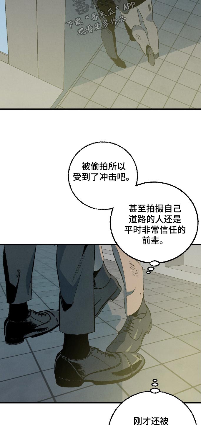 《完美伴侣》第165章【第二季】不怕不怕 第5页