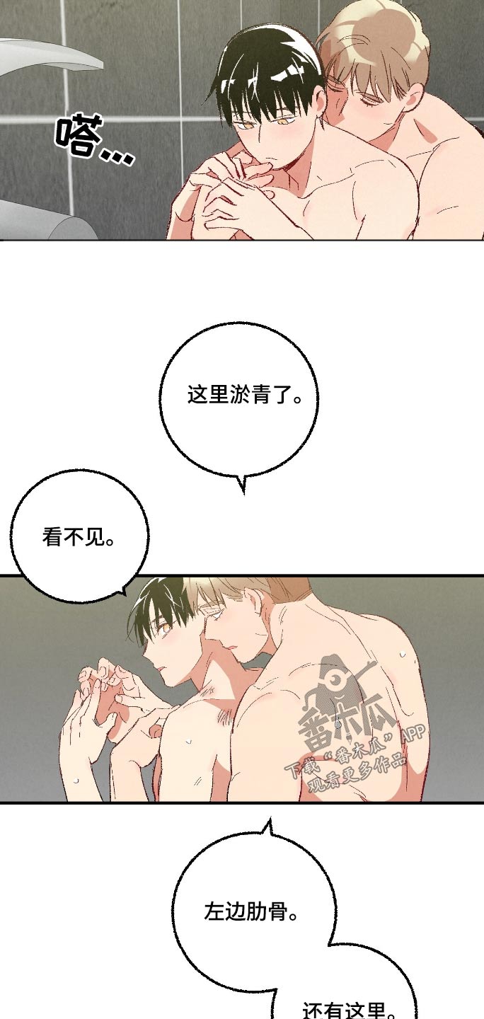 《完美伴侣》第166章【第二季】怎样都好 第14页
