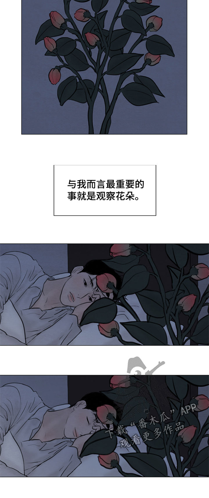 《夜惊梦魇》第108章【第二季】花朵绽放 第9页