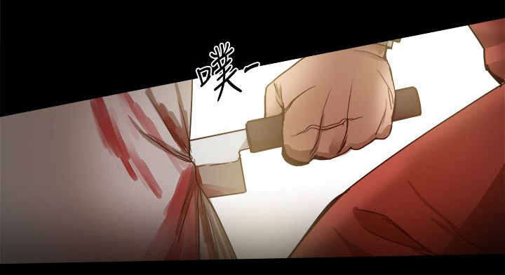《帮派女婿》第86章一切都是計劃 第13页