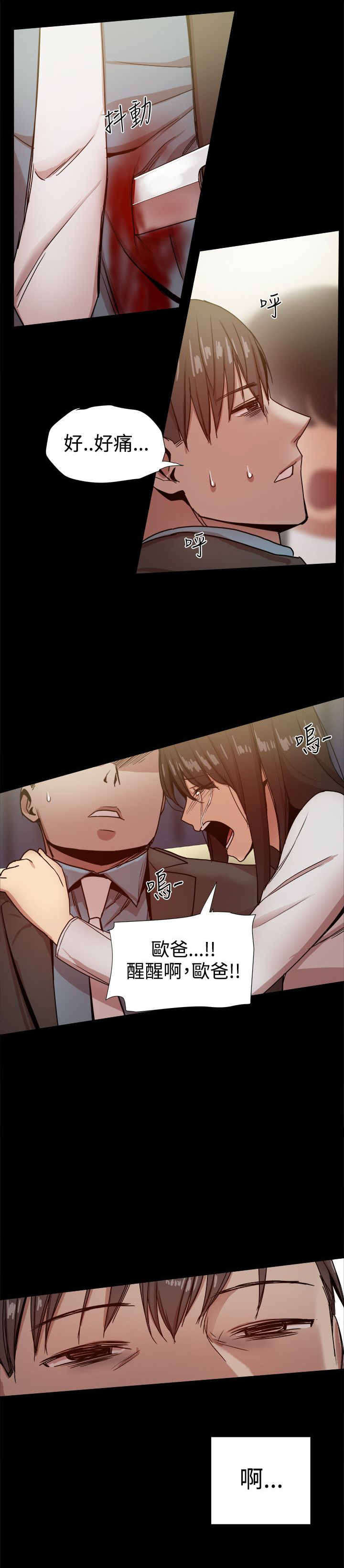 《帮派女婿》第86章一切都是計劃 第3页