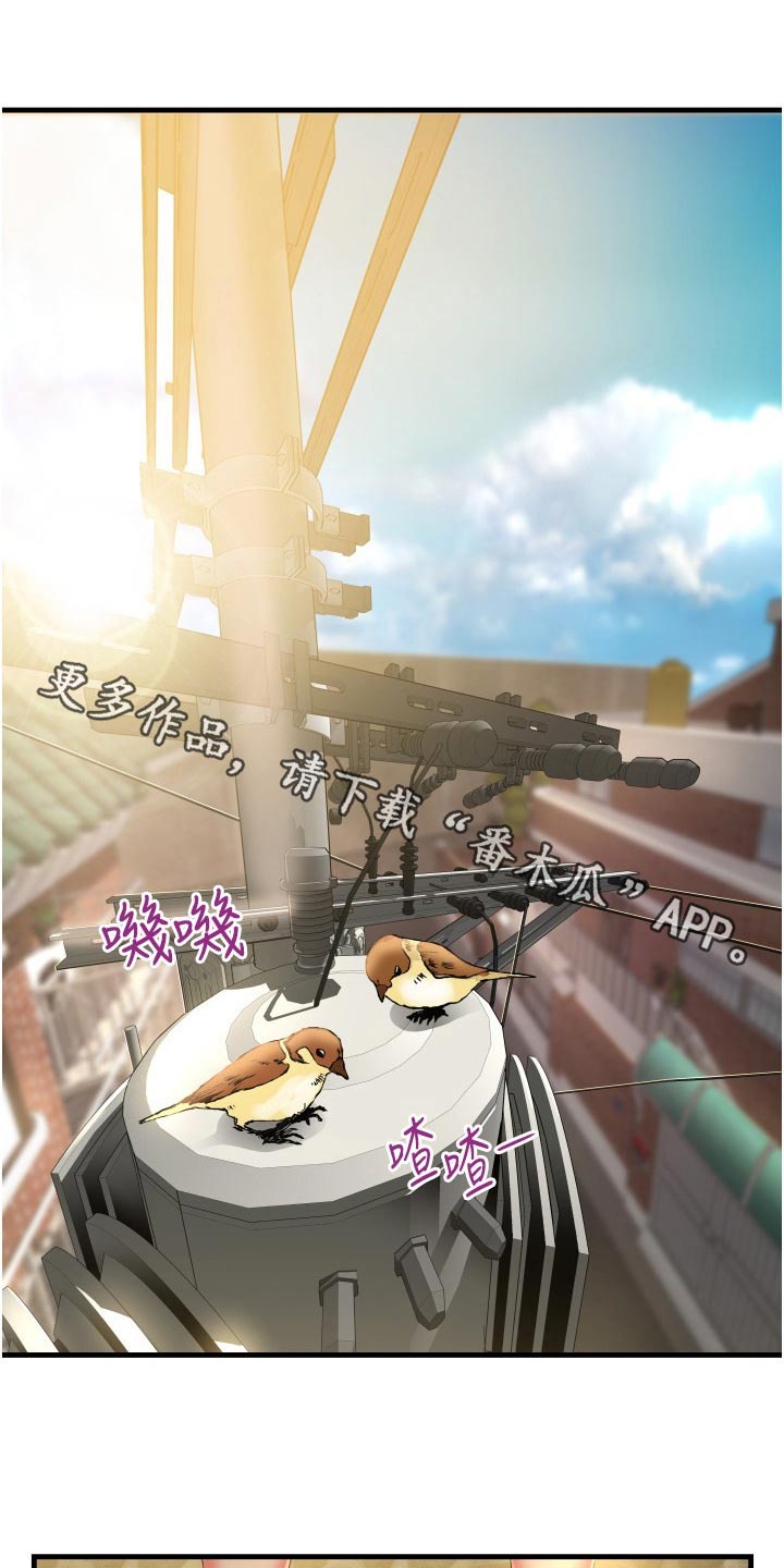 《巷子里的秘密》第21章保持距离 第1页