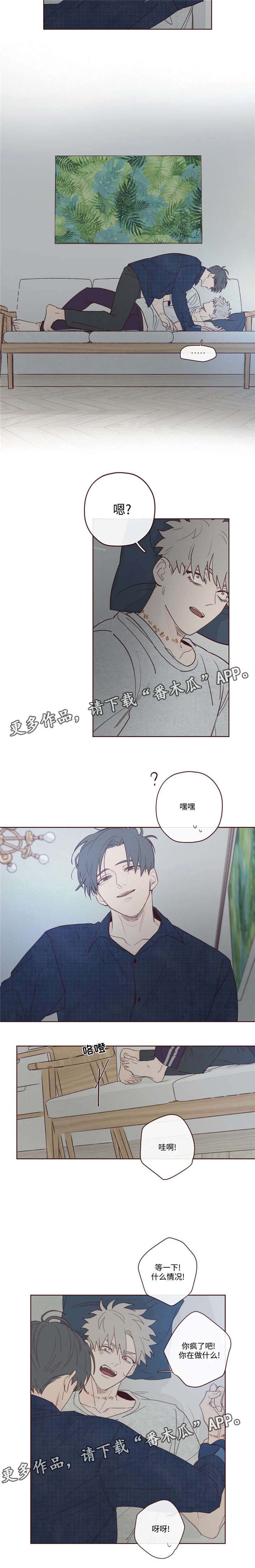 《山鬼效灵》第11章做饭 第12页