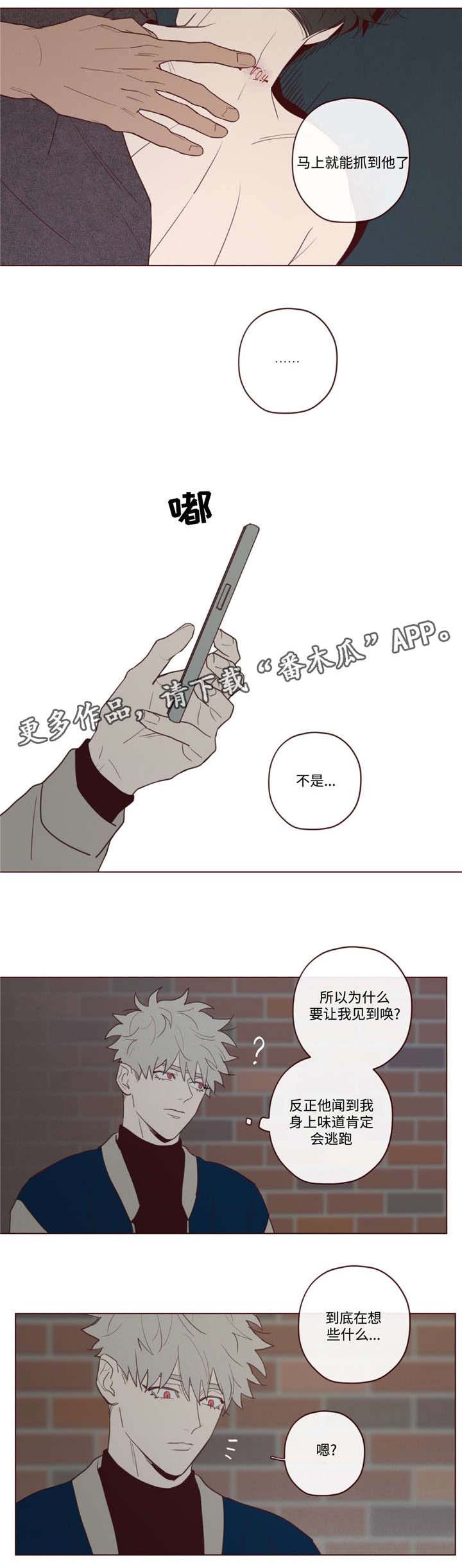 《山鬼效灵》第30章醉 第1页