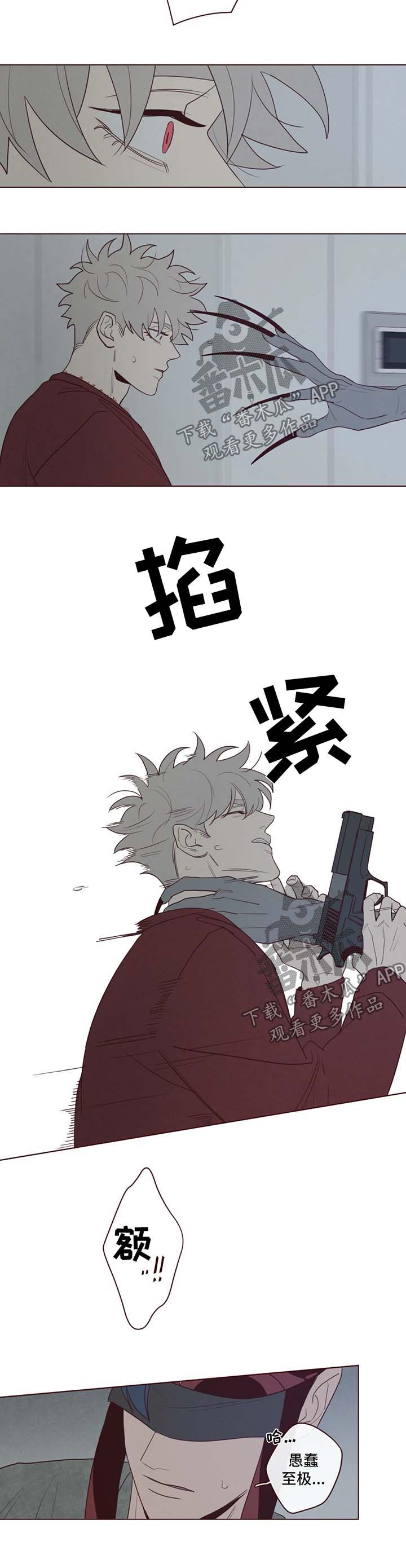 《山鬼效灵》第46章要害 第2页