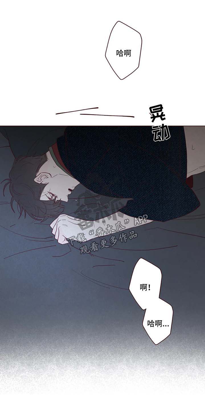 《山鬼效灵》第68章危险与安全 第1页