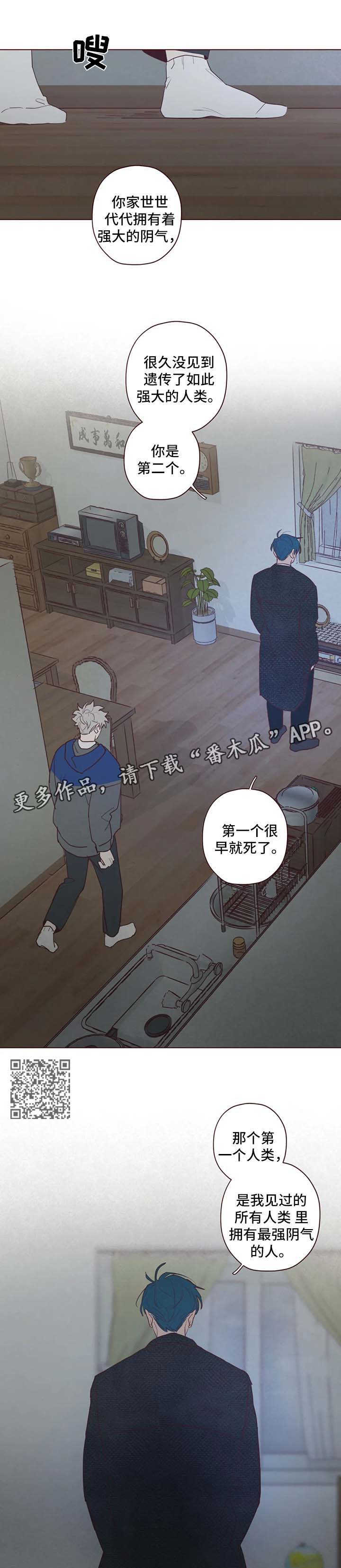 《山鬼效灵》第85章鬼魅出现 第5页