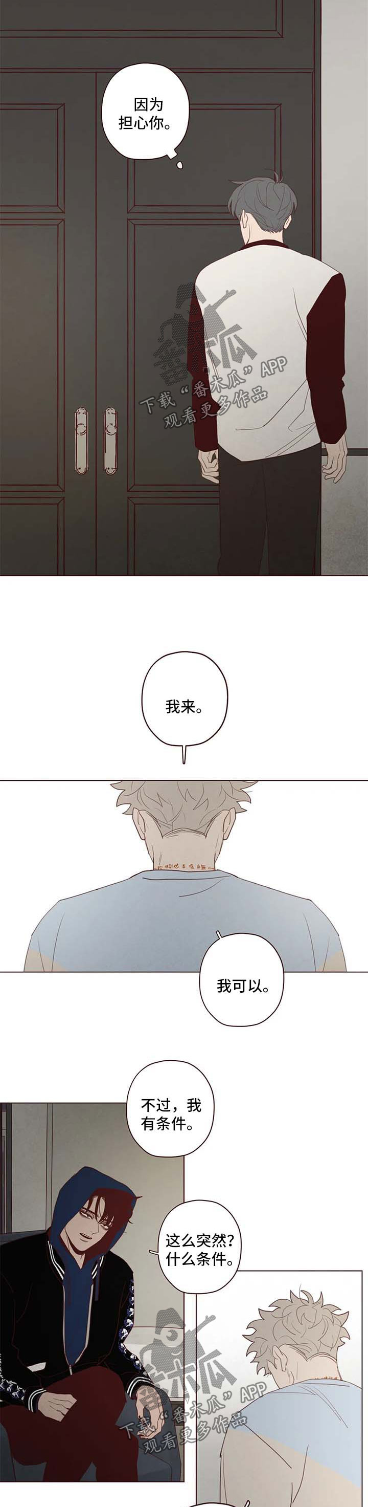 《山鬼效灵》第110章赌一把 第6页