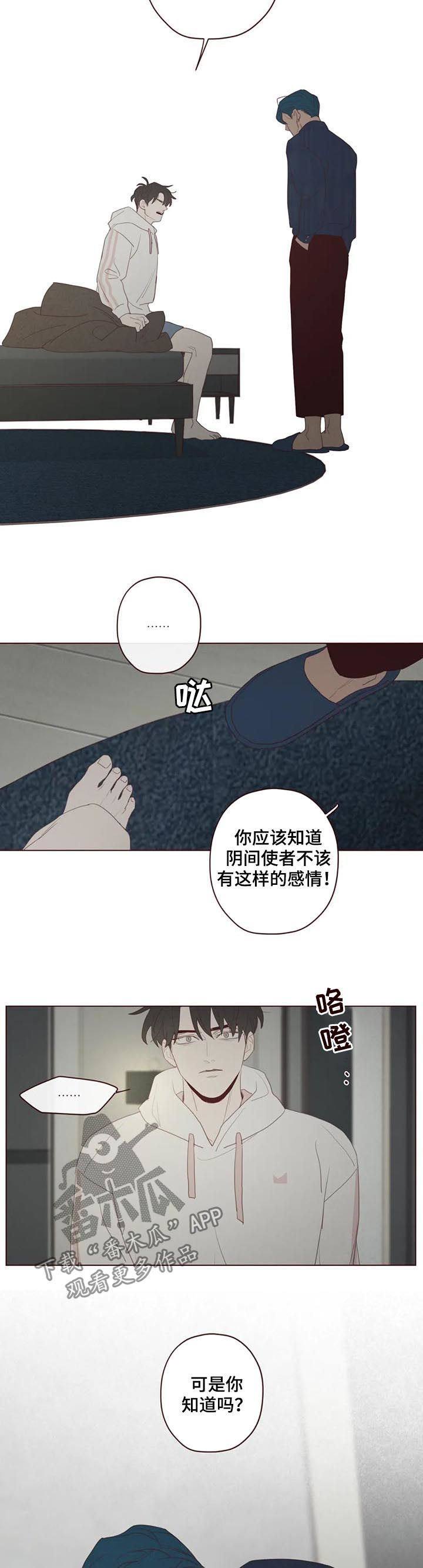 《山鬼效灵》第117章存在感 第6页