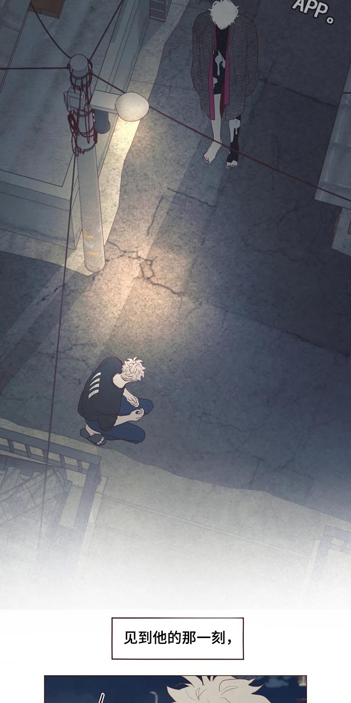 《山鬼效灵》第123章事情得到解决 第2页