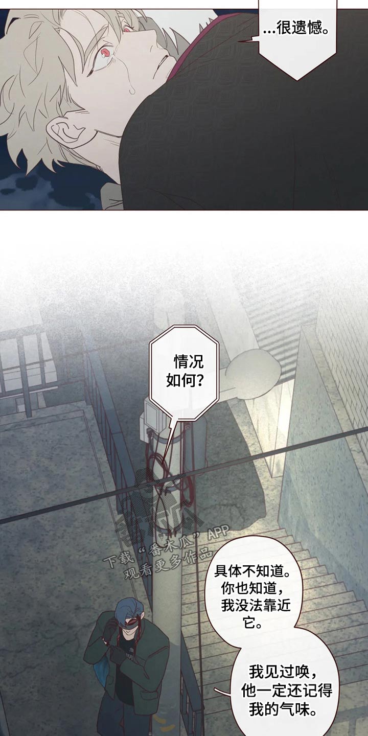 《山鬼效灵》第123章事情得到解决 第5页