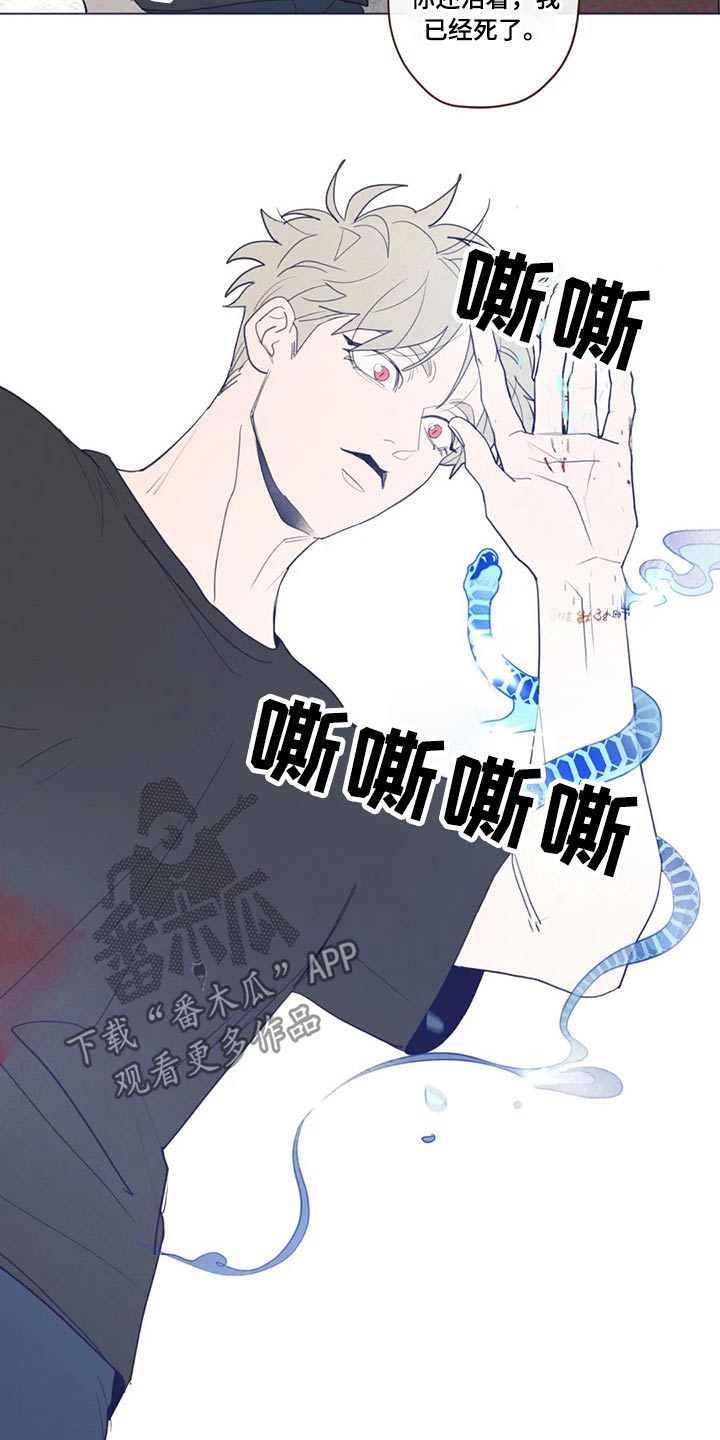 《山鬼效灵》第128章弓箭 第3页
